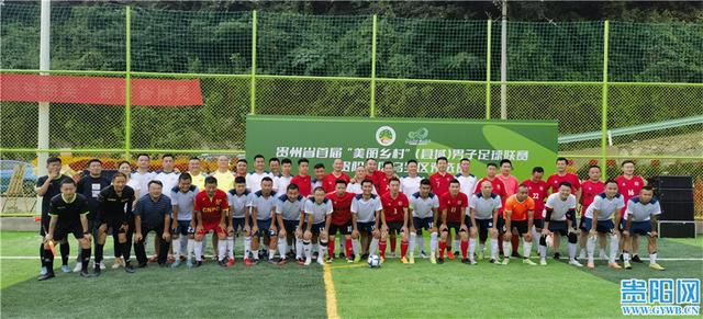 综合国产