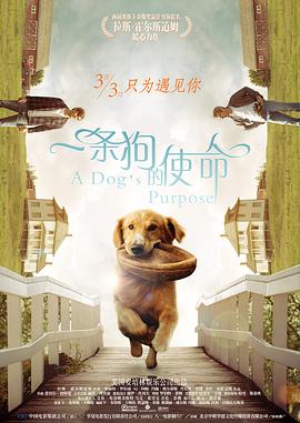 黄p网站